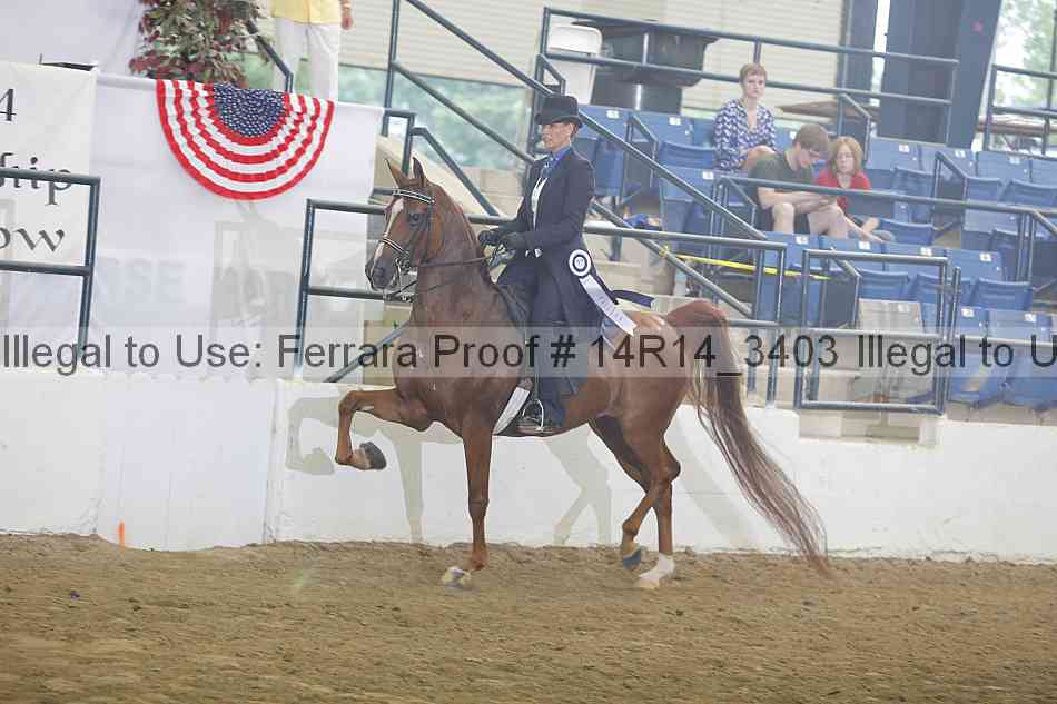Proof 14r14_3403
