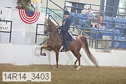 14r14_3403 proof