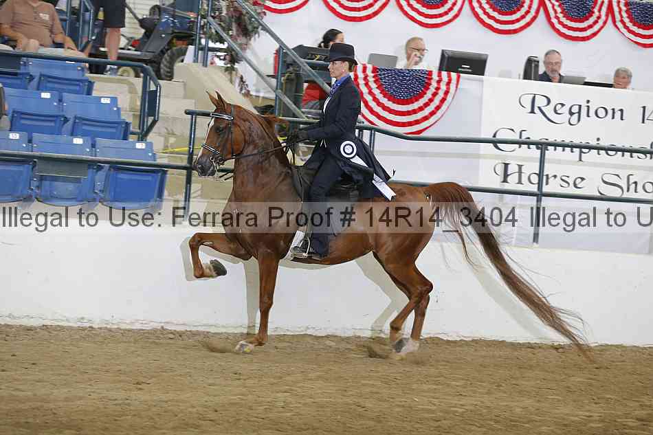 Proof 14r14_3404