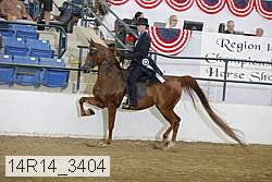 14r14_3404 proof