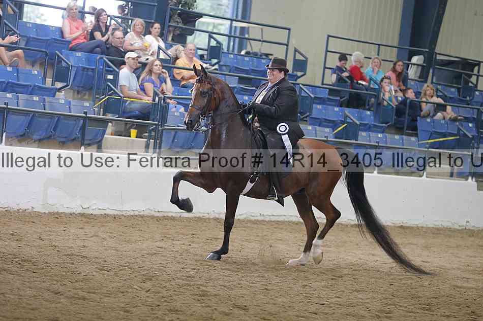 Proof 14r14_3405