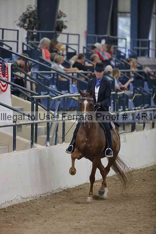 Proof 14r14_3406
