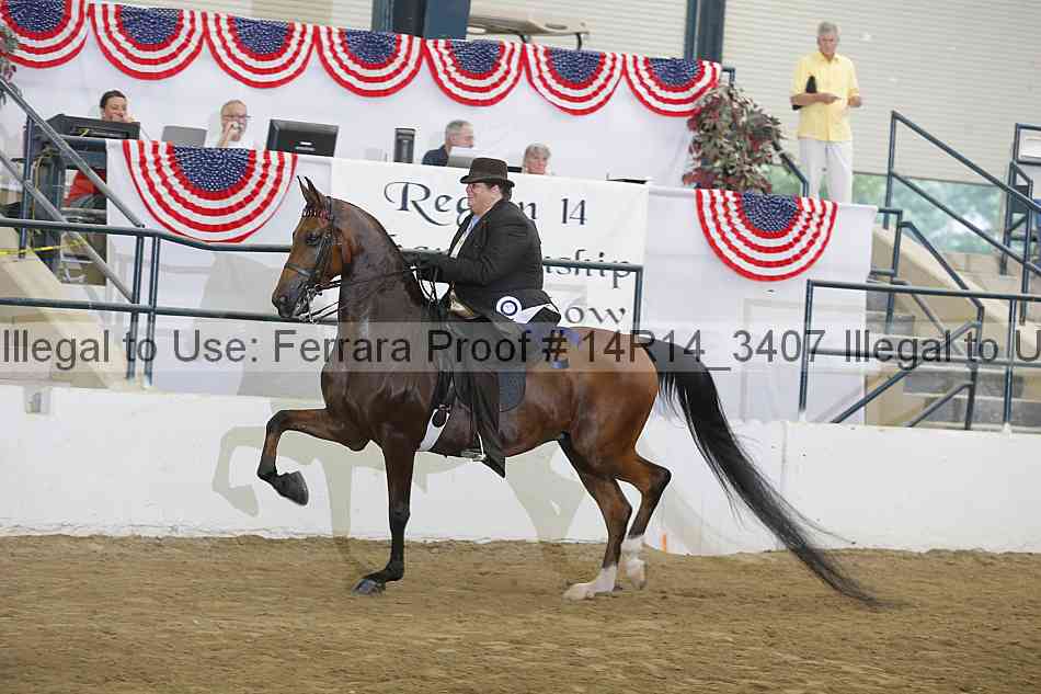 Proof 14r14_3407