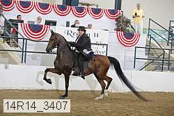 14r14_3407 proof