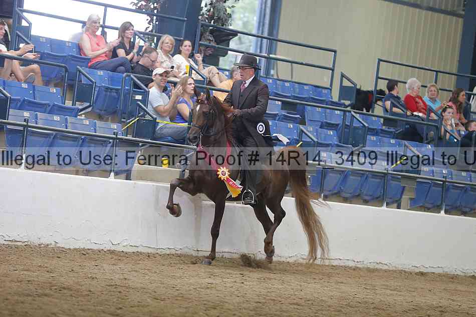 Proof 14r14_3409