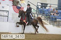 14r14_3410 proof