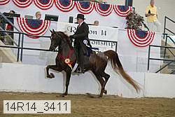 14r14_3411 proof
