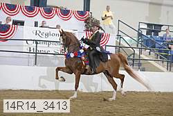 14r14_3413 proof
