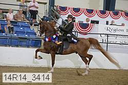 14r14_3414 proof