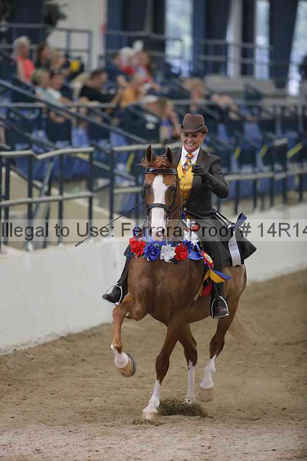 Proof 14r14_3416