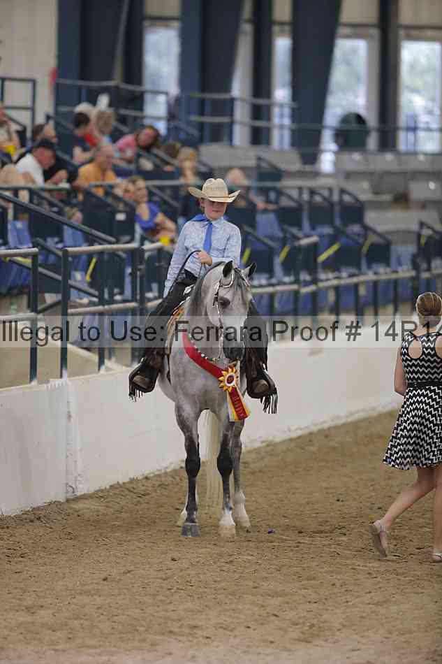 Proof 14r14_3434