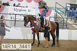 14r14_3441 proof