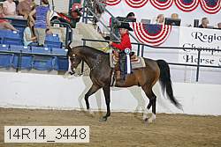 14r14_3448 proof