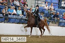 14r14_3468 proof