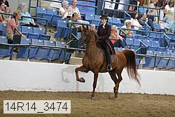 14r14_3474 proof