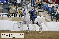 14r14_3477 proof