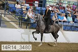 14r14_3480 proof