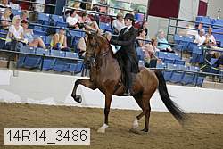 14r14_3486 proof