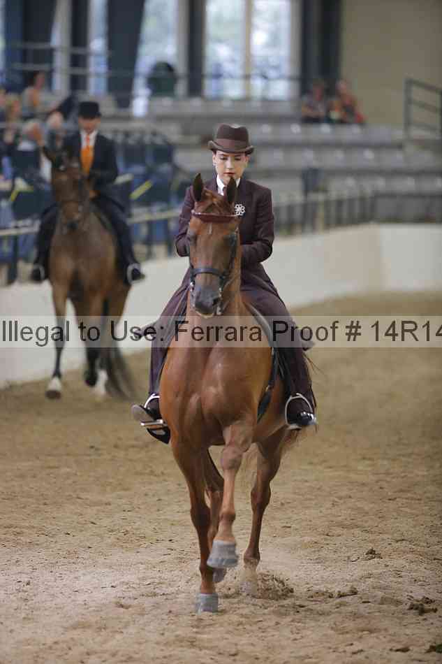 Proof 14r14_3496