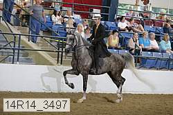 14r14_3497 proof