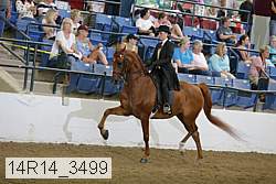 14r14_3499 proof