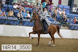 14r14_3500 proof
