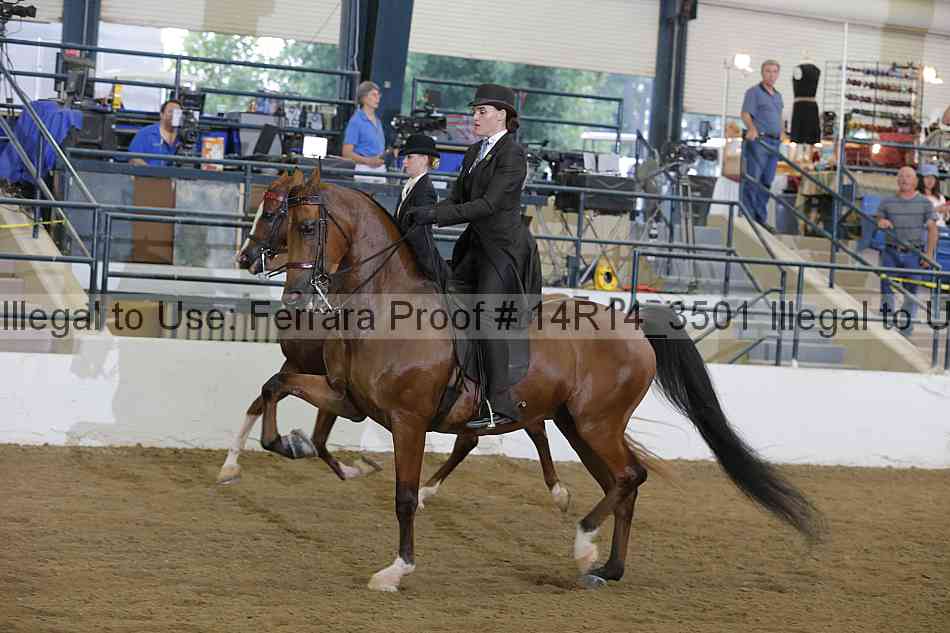 Proof 14r14_3501