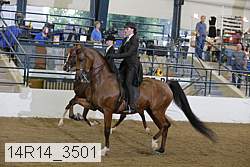14r14_3501 proof