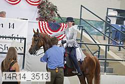 14r14_3513 proof