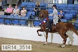 14r14_3514 proof