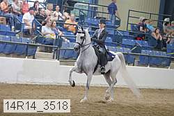 14r14_3518 proof