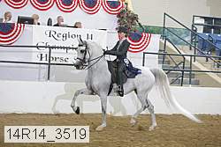 14r14_3519 proof