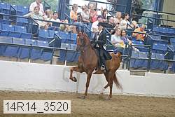 14r14_3520 proof