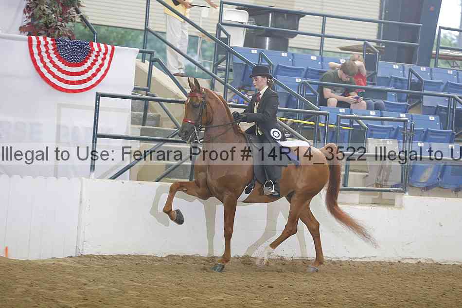 Proof 14r14_3522