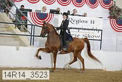 14r14_3523 proof