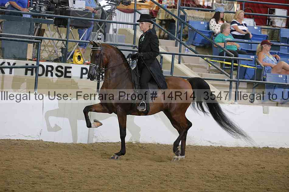 Proof 14r14_3547