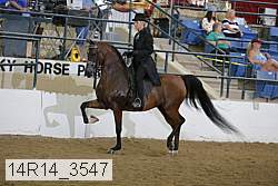 14r14_3547 proof