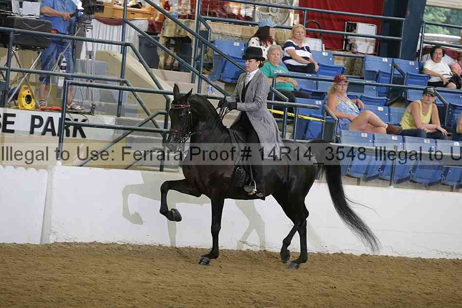 Proof 14r14_3548