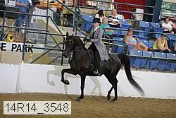 14r14_3548 proof