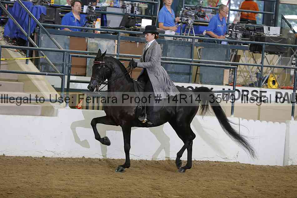 Proof 14r14_3549