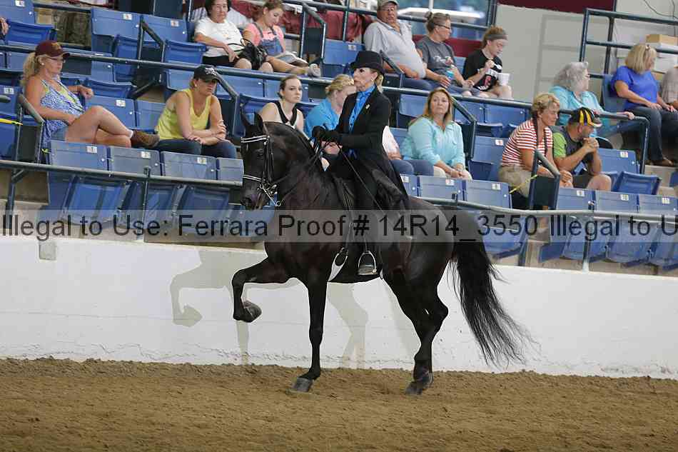 Proof 14r14_3550