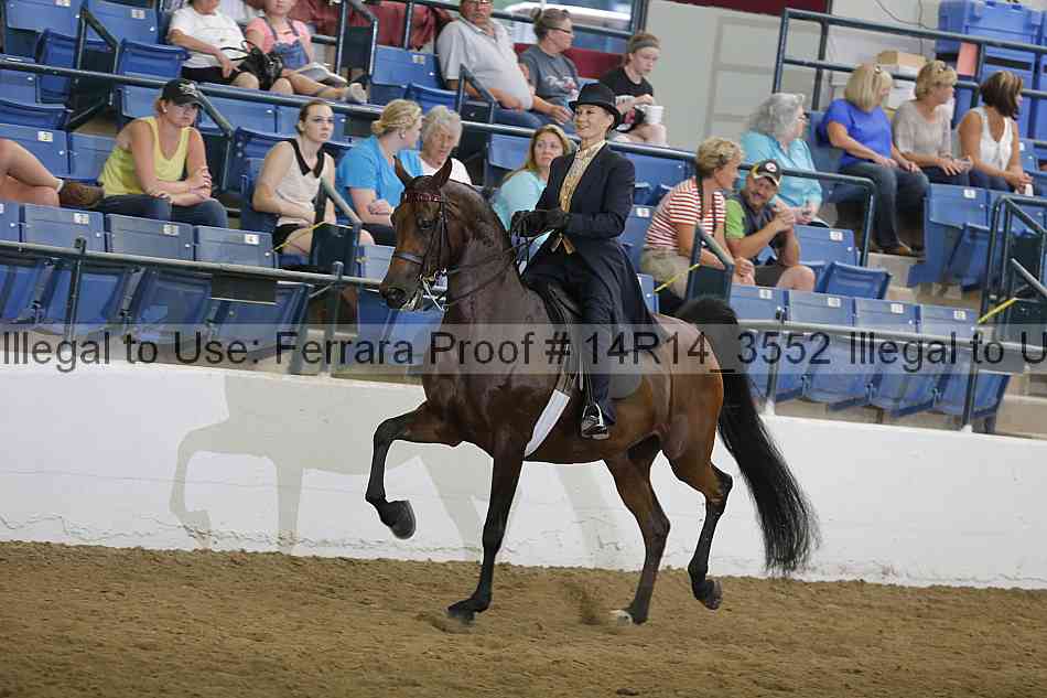 Proof 14r14_3552