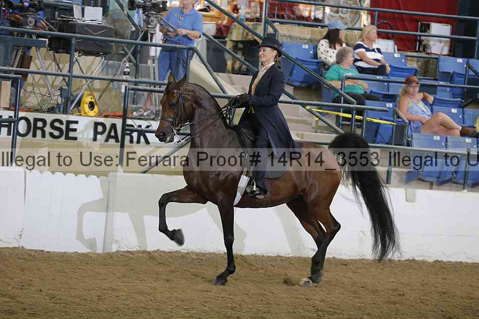Proof 14r14_3553