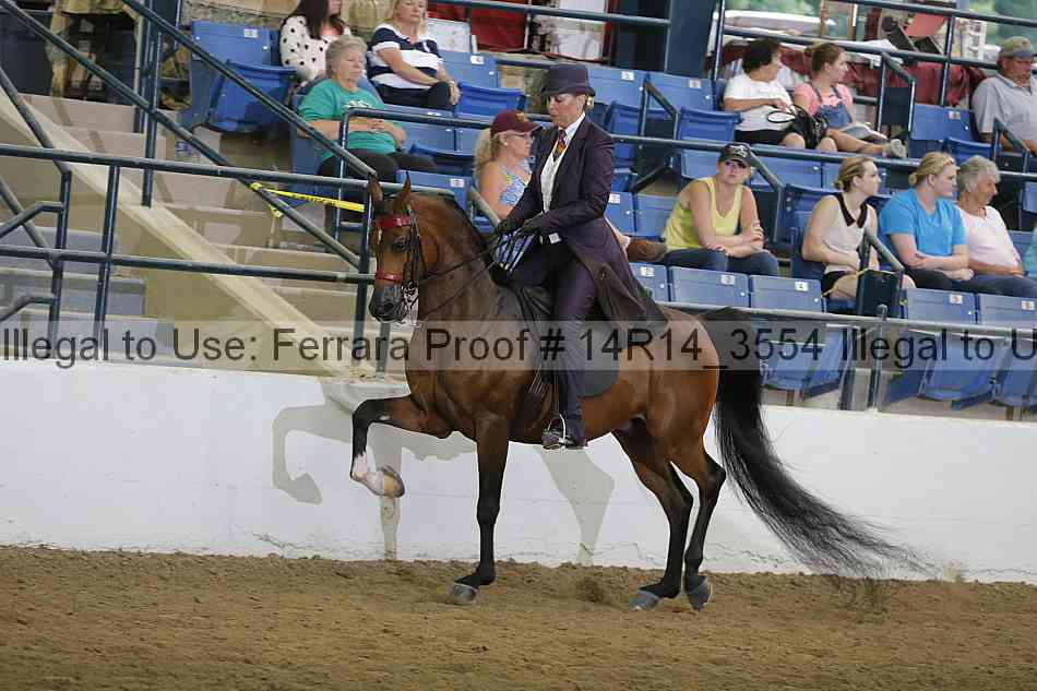 Proof 14r14_3554