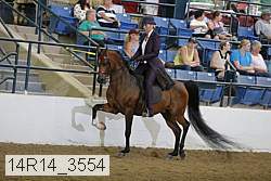 14r14_3554 proof