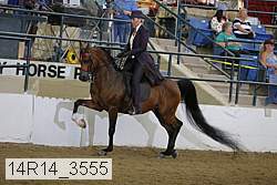 14r14_3555 proof