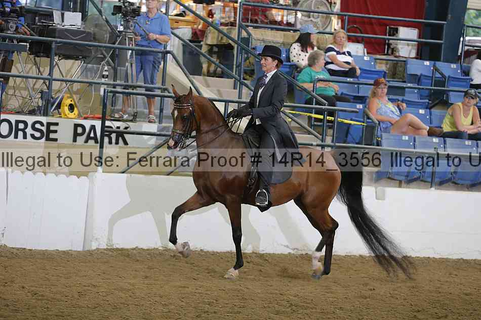 Proof 14r14_3556