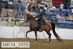 14r14_3556 proof
