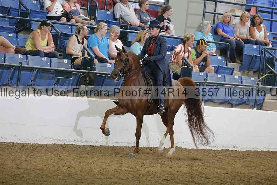 Proof 14r14_3557