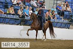 14r14_3557 proof